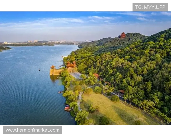 918天堂带你领略最震撼的视觉盛宴体验