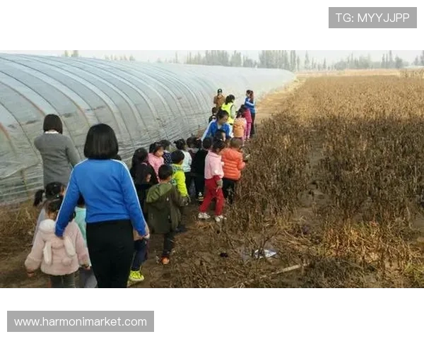 918游戏平台试玩体验全攻略助你轻松上手游戏乐趣无限