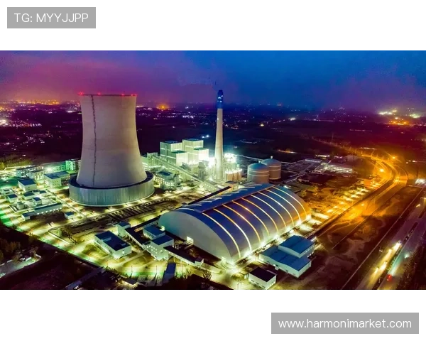 博天堂官网官网技术支持与维护，确保平台稳定运行的技术保障措施