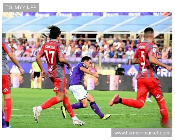 博天堂足球资讯：关注足球伤病情况及球员恢复最新进展