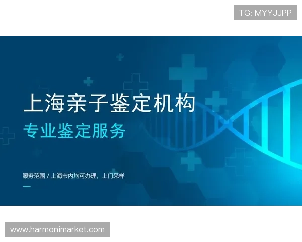 博天堂：玩家在平台上实现梦想的多样化途径与成功案例